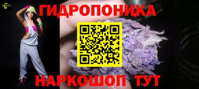 прущие грибы Краснокаменск