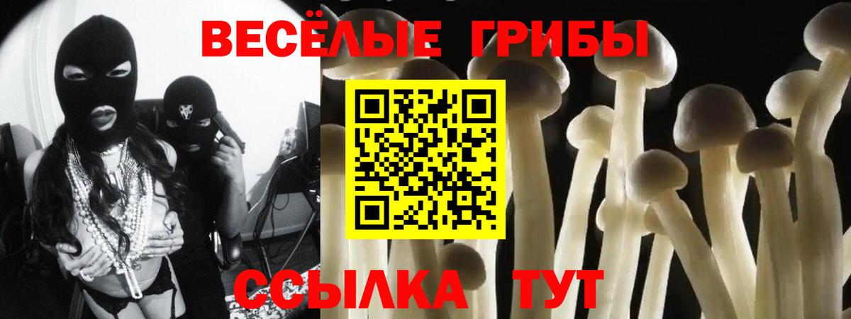 Псилоцибиновые грибы MAGIC MUSHROOMS Волжский